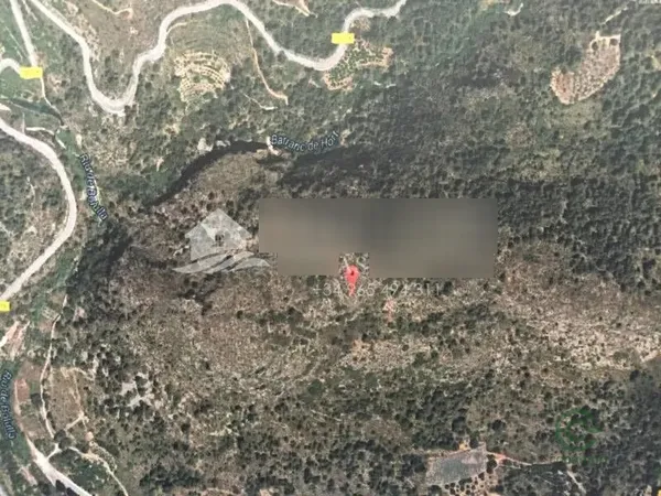 Spot image