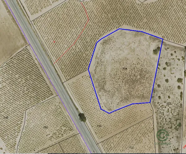 Spot image