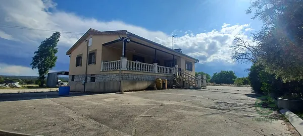 Spot image