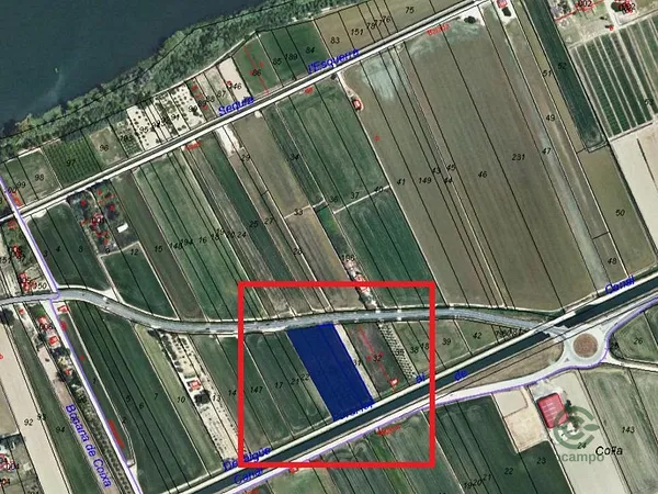 Spot image