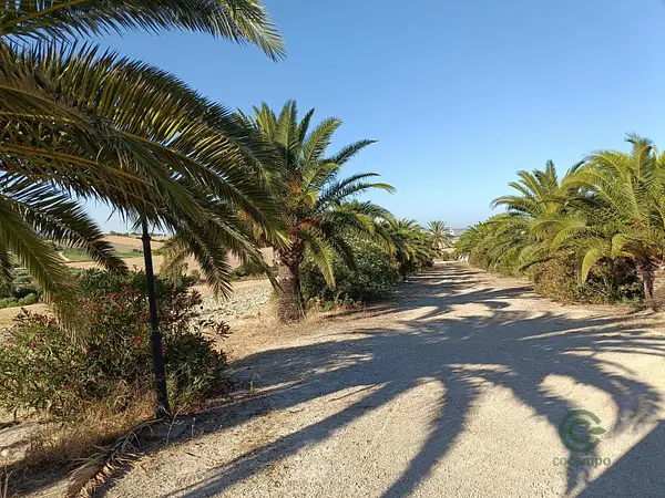 Finca rústica de 6,3886 ha en venta en Arcos de la frontera, Cádiz