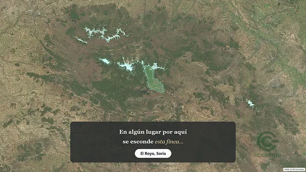 Spot image
