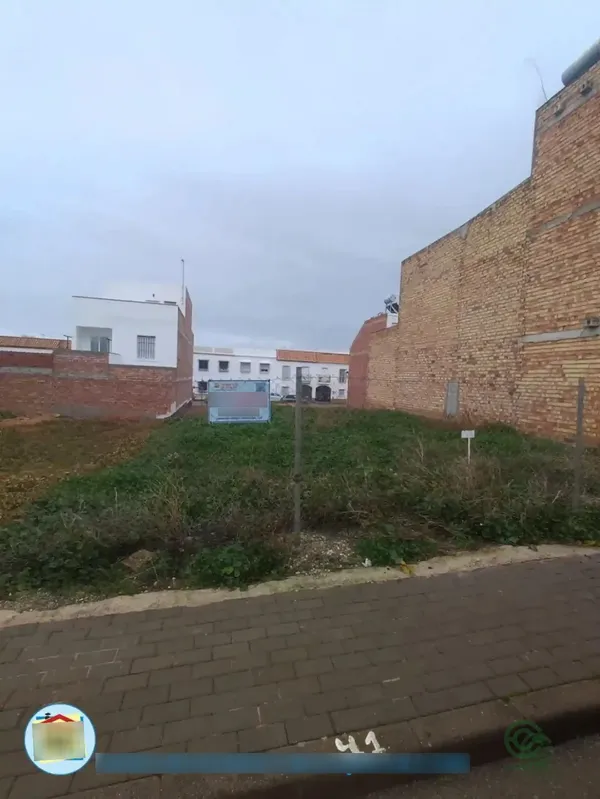 Spot image