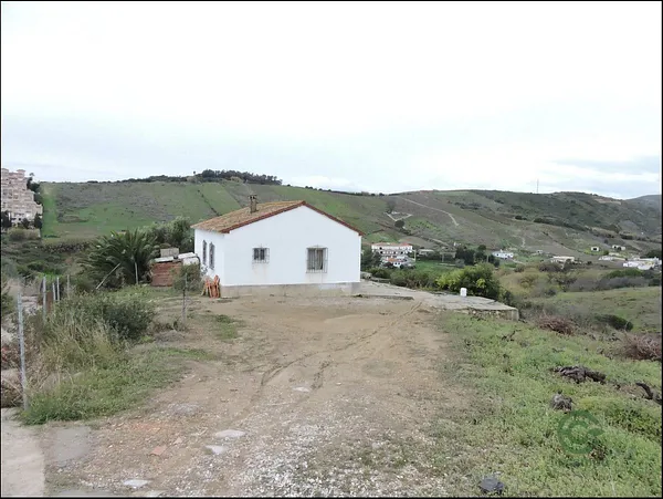 Spot image