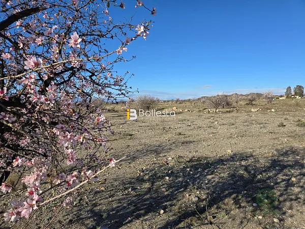 Spot image