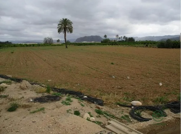 Spot image