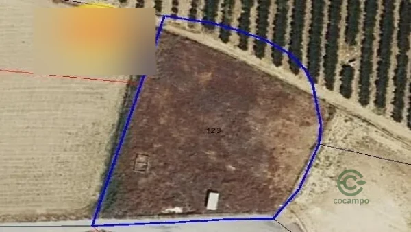 Finca rústica de 0,32 ha en venta en Lepe, Huelva