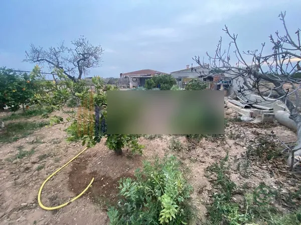 Finca rústica de 0,25 ha en venta en Alicante
