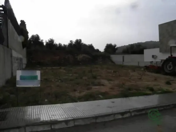 Spot image
