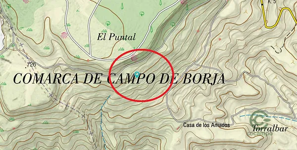 Finca rústica de 0,75 ha en venta en Borja, Zaragoza