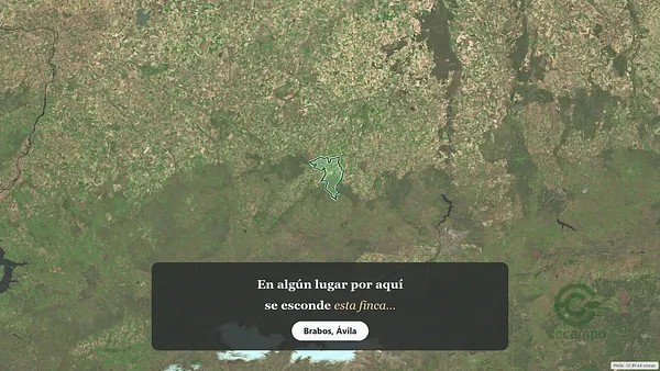 Spot image