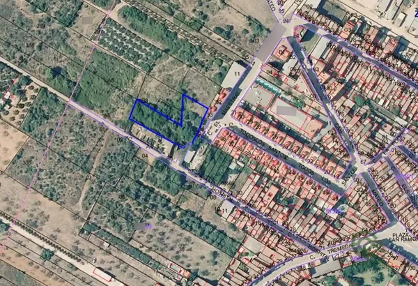 Spot image