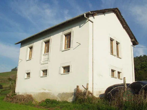 Spot image