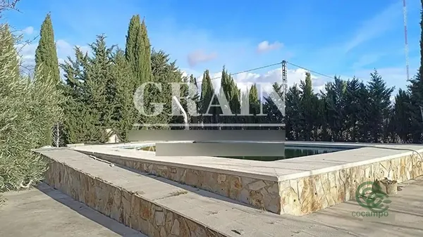 Spot image