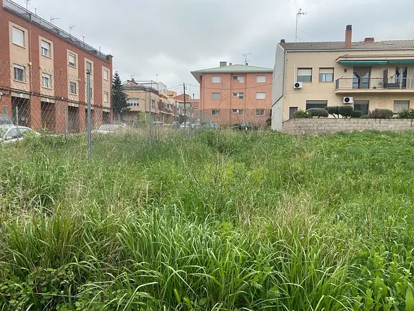 Spot image