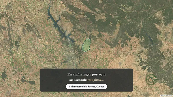 Spot image