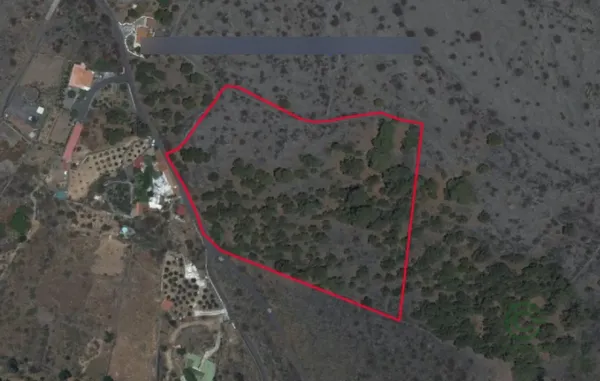 Finca agrícola de 1,6322 ha en venta en Paso, el, Santa cruz de tenerife
