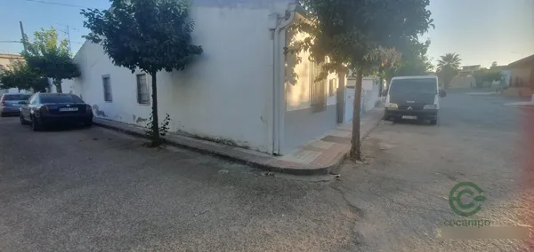 Spot image