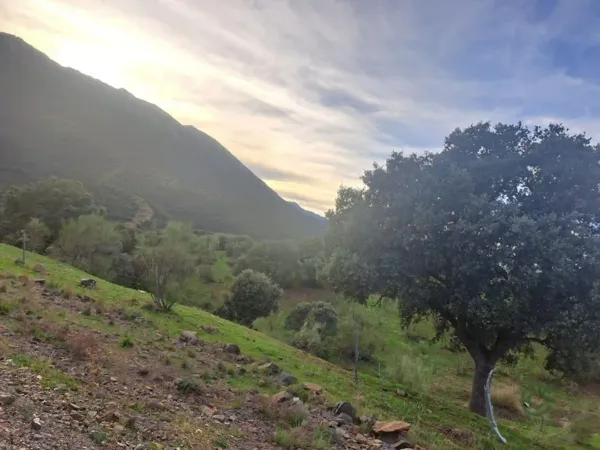 Finca rústica de 600 ha en venta en Ciudad real, Ciudad real