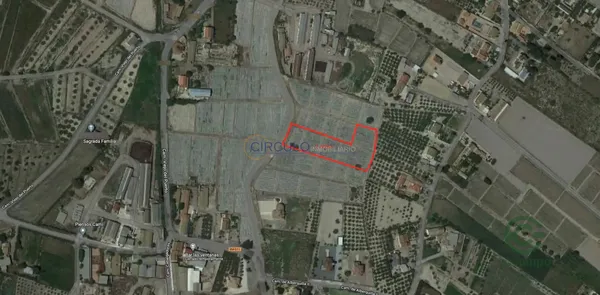 Spot image