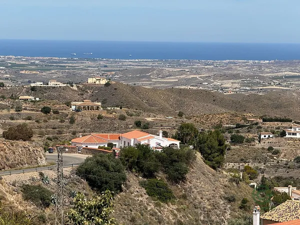 Spot image