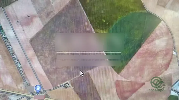 Spot image