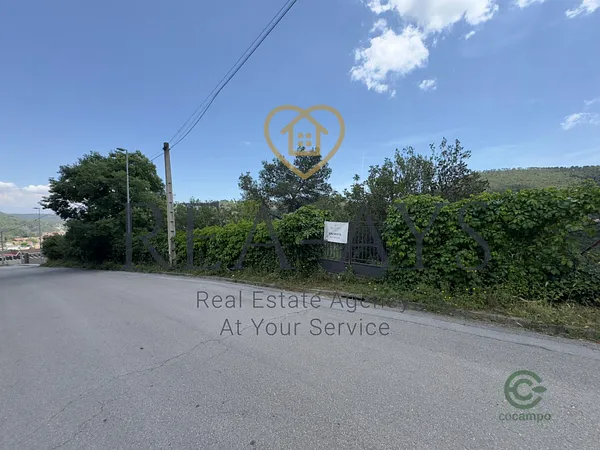 Spot image