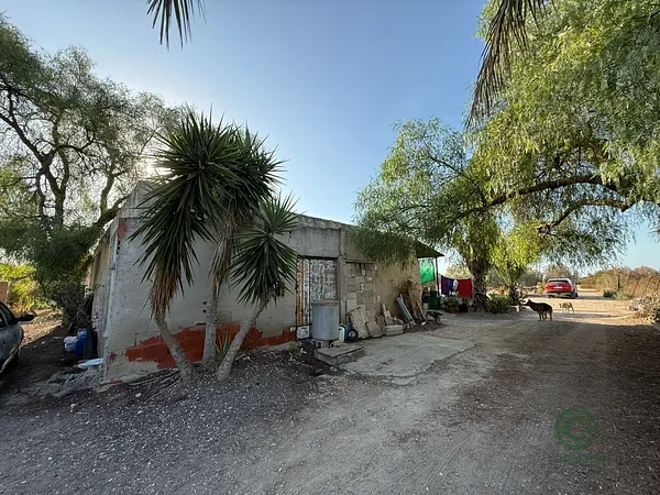 Finca rústica de 0,6 ha en venta en Elche, Alicante