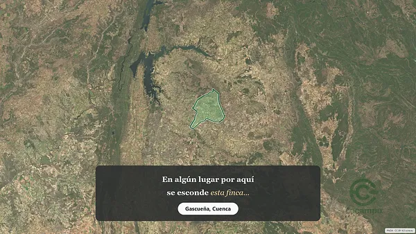 Spot image
