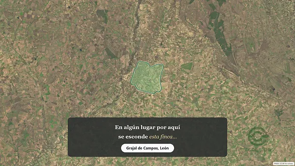 Spot image