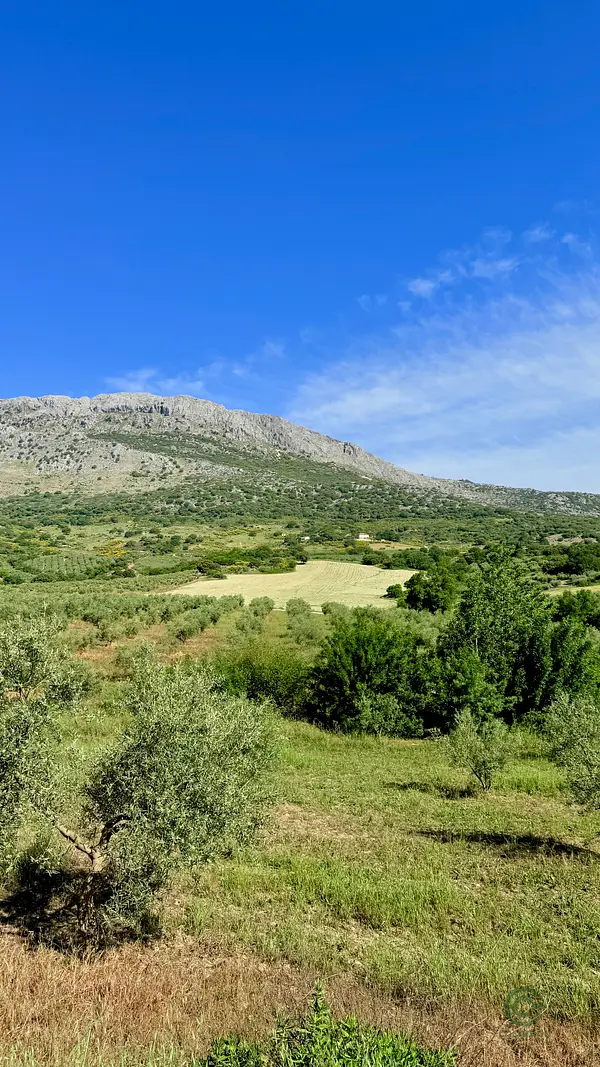 Finca agrícola de 7,5 ha en venta en Málaga