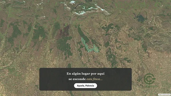 Spot image
