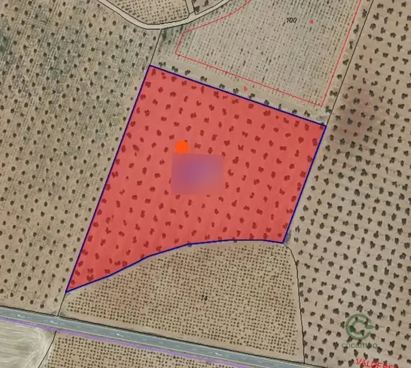 Spot image