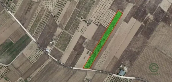 Spot image