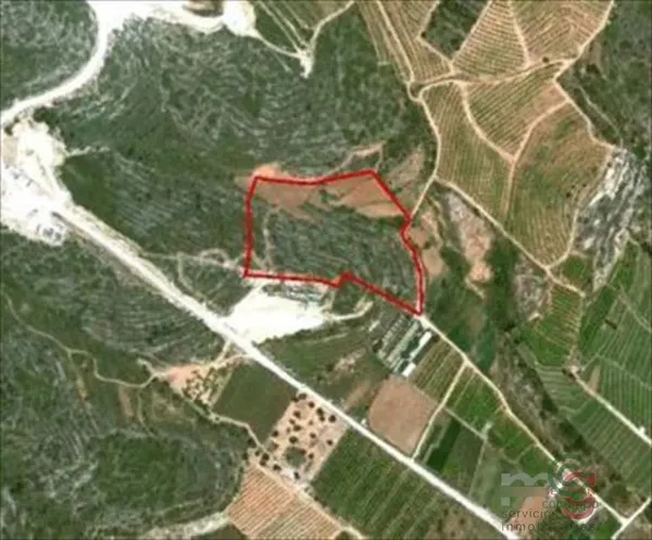 Spot image