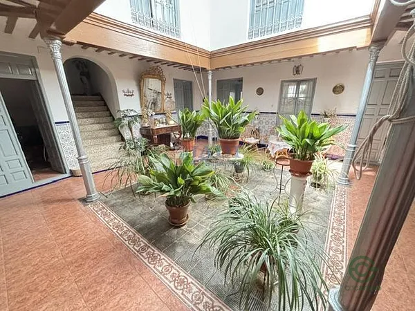 Spot image