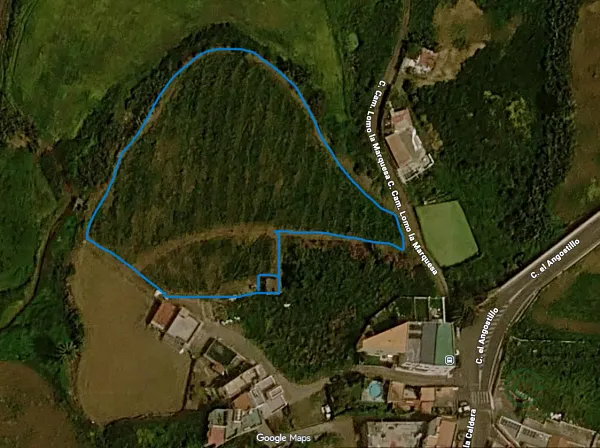 Finca agrícola de 0,6234 ha en venta en Las Palmas de Gran Canaria