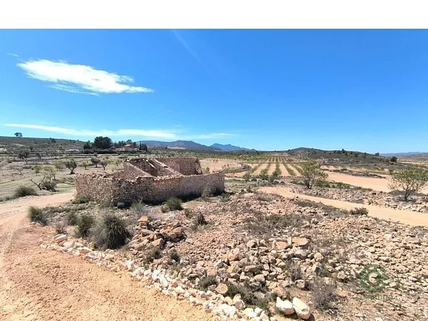 Spot image