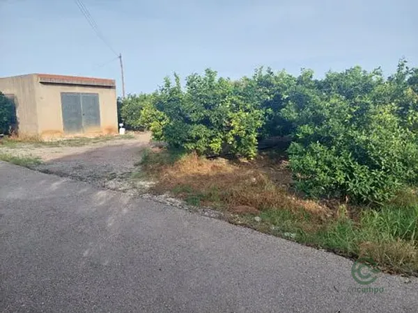 Spot image