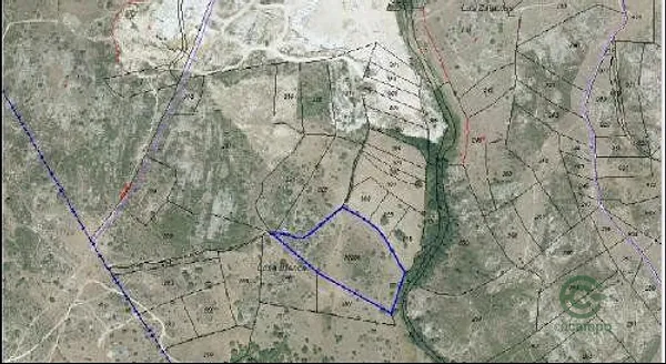 Spot image