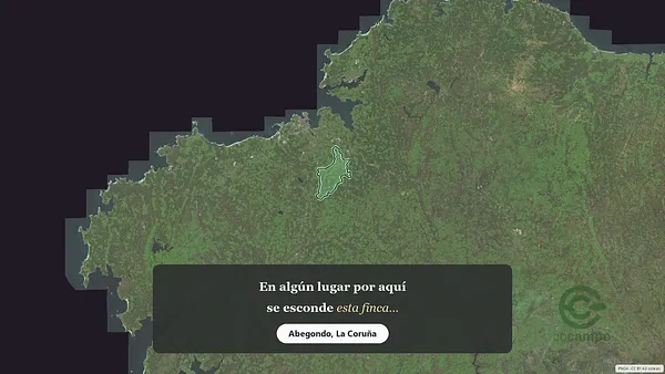 Spot image