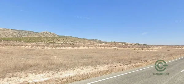 Spot image