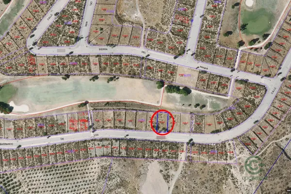 Spot image