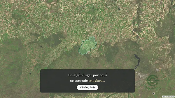 Spot image