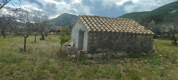 Spot image