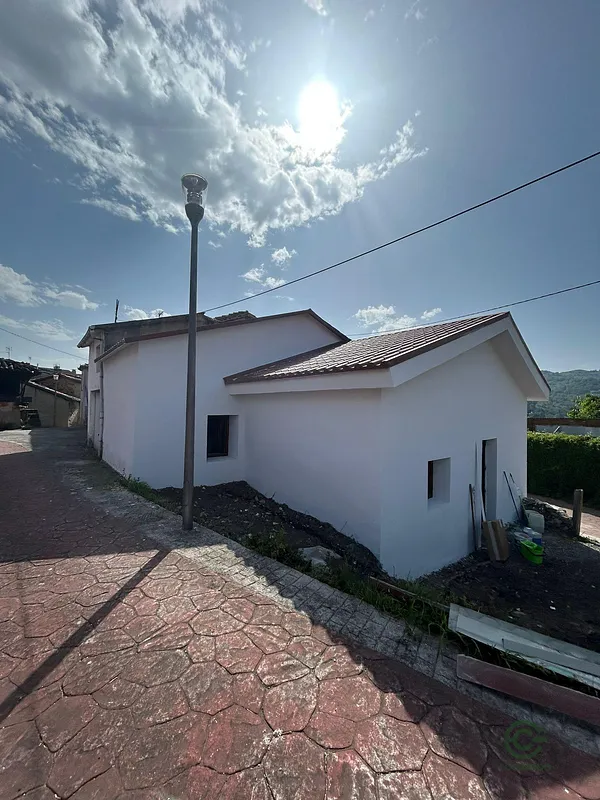 Spot image