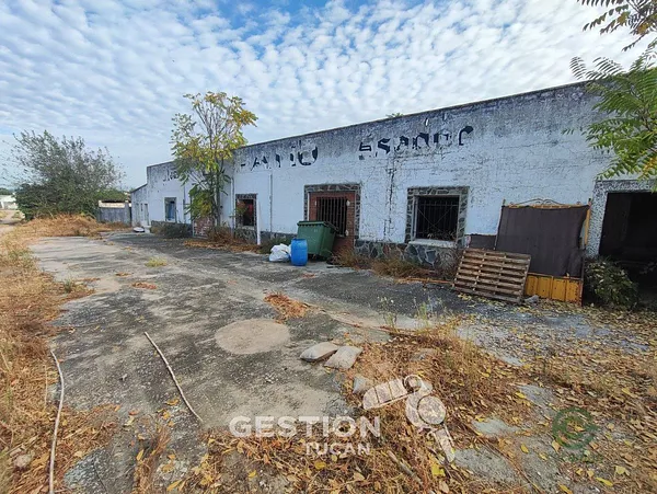 Spot image