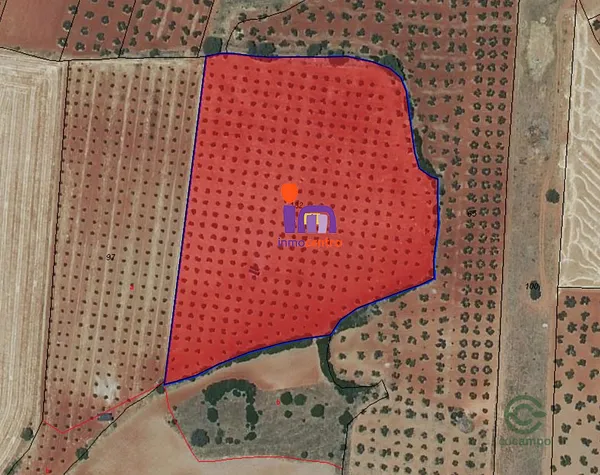 Spot image