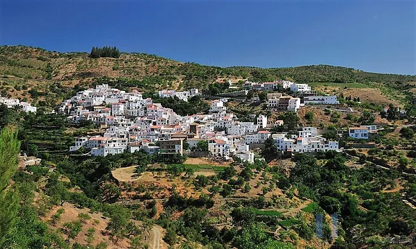 Spot image