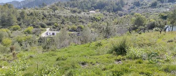 Spot image